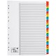 31 Part Dividers