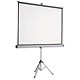 Projection Screens