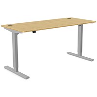 Zoom Sit-Stand Desk with Portals, Silver Leg, 1600mm, Bamboo Top