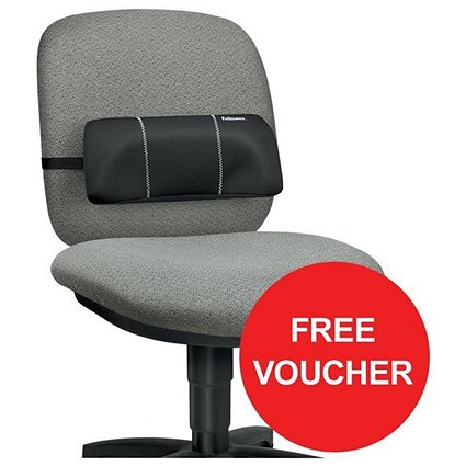 Fellowes Portable Lumbar Support / Soft-brushed Cover / Adjustable Straps / Offer Includes FREE Gift Voucher