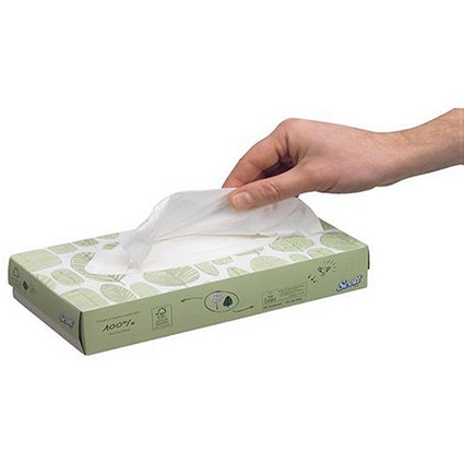 Scott Facial Tissue / 2-Ply / 21 Boxes of 100 Sheets
