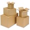 Single Wall Packing Carton / 229x222x171mm / Pack of 25