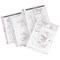 Esselte A4 Plastic Pockets, 105 Micron, Top Opening, Pack of 25