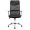 Vegalite Executive Mesh Chair, Black