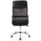 Vegalite Executive Mesh Chair, Black
