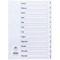 Concord Plastic Index Dividers, Jan-Dec, Clear Tabs, A4, White