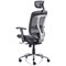 Mirage Executive Chair Headrest, Black Mesh, Arms