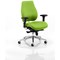 Chiro Plus Ergo Posture Chair, Myrrh Green