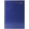 Q-Connect 2024-25 Academic Diary, Day Per Page, A5, Blue