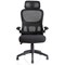 Iris Task Operator Chair, Black Mesh Back, Black Fabric Seat, With Headrest