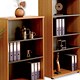 Elysium Bookcase Tall W800xD400xH1960mm Walnut with Black Trim