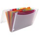 Europa Expanding File Coloured Polypropylene 13 Pockets A4 Ref 42159