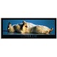 Customer Care - Motivational Picture in a Black Ash Frame