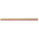 Rotring Ruler Triangular Reduction Scale 1 Architect 1-10 to 1-1250 with 2 Coloured Flutings Ref S0220481