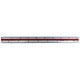 Rotring Ruler Triangular Reduction Scale 6 Surveying 1-25 to 1-2500 with 2 Coloured Flutings Ref S0220721