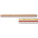 Rotring Triangular Reduction Scale Engineer Plastic Fluted DIN ISO 5455 in CM and MM Ref S0236961