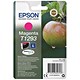 Image of Epson T1293 Inkjet Cartridge DURABrite Apple L Capacity 7ml Magenta Ref C13T12934011