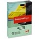 Data Colours Multifunctional Paper Coloured 80gsm 500 Sheets per Ream A4 Green Ref 36428 [1 Ream]