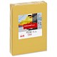Data Colours Multifunctional Paper Coloured 80gsm 500 Sheets per Ream A4 Canary Yellow Ref 36424 [1 Ream]