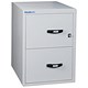 Chubb Fire-resistant Filing Cabinet 2-Hour 2-Drawer Ref 4206