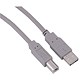 Image of Videk USB Cable A-B 3m Ref 029100