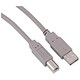 Image of Videk USB Cable A-B 5m Ref 029195