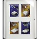 Nobo Pacific Display Cabinet Noticeboard Lockable Aluminium External Glazed Case 6x A4 Blue Ref 1900860