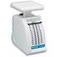 Salter Letter Scale Manual Spring 5g Increments Capacity 250g Ref FC0037