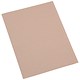 5 Star Premier Square Cut Folder Recycled Pre-punched 250gsm A4 Buff [Pack 100]