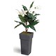 Stewart Superior Artificial Plant in Tall Metal Pot H1200mm Peace Lily Ref 9900201