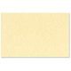 DECAdry Microline Business Cards 165gsm Champagne Ref SCB2028 [Pack 120]