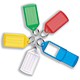Helix Premium Keyfobs Large 56x31mm Viewable Ref F35070 [Pack 10]