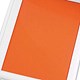 Rexel Fullview Display Book Heavyweight PVC 40 Pockets A4 White and Orange Ref 4400472