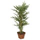 Stewart Superior Artificial Plant H1400mm Bamboo Ref 9900135