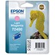 Epson Inkjet Cartridge Light Magenta Ref C13T048640