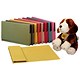 Guildhall Document Wallet Full Flap 315gsm 35mm Foolscap Pink Ref PW2 [Pack 50x2 and Beagle] Apr-Jun 07