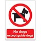 Stewart Superior No Dogs Except Guide Dogs Self Adhesive Sign Ref P091SAV