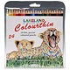 Lakeland Colourthin Colouring Pencils Hexagonal Barrel Hard-wearing Assorted Ref 0700269 [Pack 24]