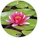 Fellowes Brite Mousepad Mat Hard Plastic for Accurate Tracking Water Lily Ref 5882901