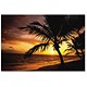 Fellowes Natural Collection Mouse Mat Pad Palm Moods Ref 58750