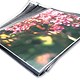 Masters Sleeves for Classic Presentation Folder A3 Clear Ref 4512 [Pack 10]