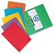Elba Stratford Bright Transfer Spring File Recycled 315gsm 32mm Foolscap Assorted Ref A56610 [Pack 10]
