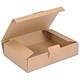 Marland EasiMailer VB6 Kraft Mailing Box W220xD155xH50mm Ref 97381006 [Pack 20]