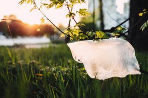 Go plastic bag free on 3 July and do your bit for the planet