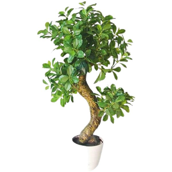 Artificial plant for office