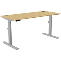 Leap Sit-Stand Desk with Portals, Silver Leg, 1600mm, Bamboo Top