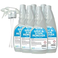 2Work Carpet Spot/Stain Remover 750ml (Pack of 6)