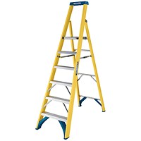 Werner 6 Tread Fibreglass Platform Ladder 7170618