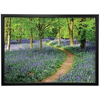 Walk Through The Bluebell Path Framed Print, A2 406x609mm