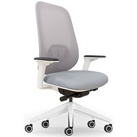 Atelier B22 White Frame Mesh Task Chair, Height Adjustable Arms, Grey